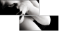 68806614