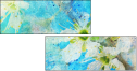 68906005