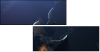 68921322