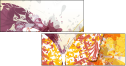 69145694