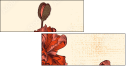 69151696
