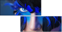 69641172