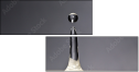 69823707