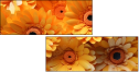 701850992