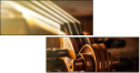 70192186