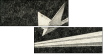 70764881