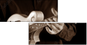 70882900