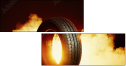 71231906