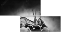 71412657