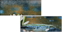 72576012