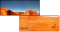 7264423
