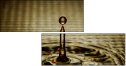 73056406