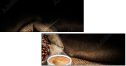 74493123