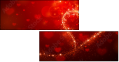 74953593