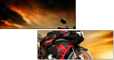 75568726