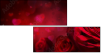 75608886
