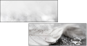 75689108