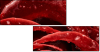 75798905