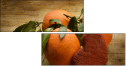 78022660