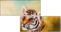 78189357