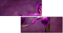 79035921