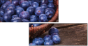 79175349