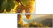 816736587