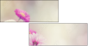 84071220