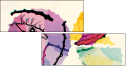 84109861