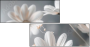 877089715