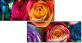 913577319