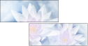 91681750