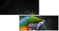 92474854