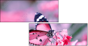 95266681