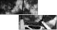 998443