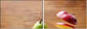 100068494