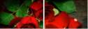 100197651