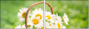 100224563