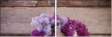 100248002