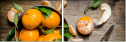 100395786