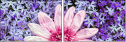 100402580