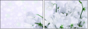 100410214