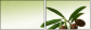 11107716
