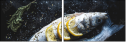 129092873