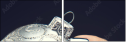 130059484