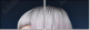 139671256