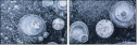 140346351