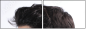143750770