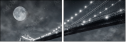 15676398