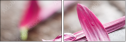 15999770